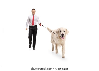 Full Length Portrait Of An Elegant Guy Walking A Dog Isolated On White Background