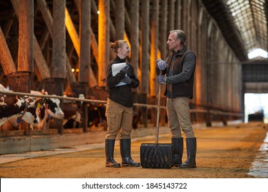 Full Length Portrait Of Father And Daughter Standing In Cow Shed And Talking While Working At Family Farm, Copy Space