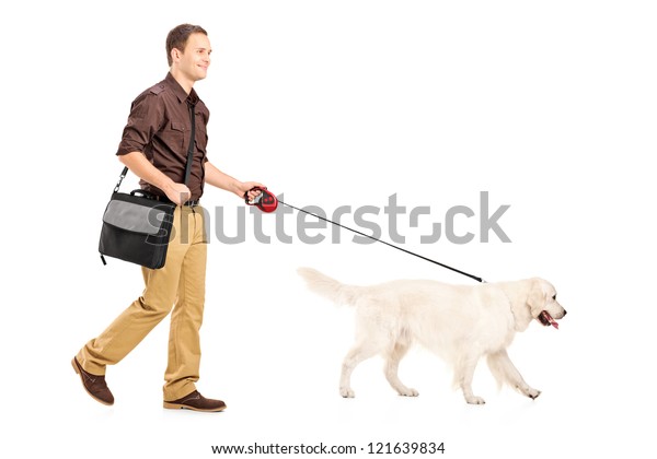 dog walking shoulder bag