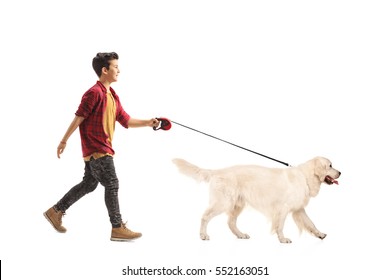 Full Length Portrait Of A Little Boy Walking A Dog Isolated On White Background