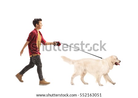 Full length portrait of a little boy walking a dog isolated on white background