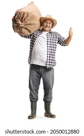 Full Length Portrait Of A Mature Farmer Carrying A Big Burlap Sack On His Shoulder And Gesturing Thumbs Up Isolated On White Background