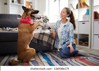 Full Length Portrait Of Pet Dog Doing Tricks While Training With  Young Asian Woman At Home, Copy Space