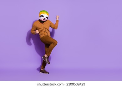 Full Length Portrait Of Weird Unusual Red Panda Mask Person Raise Fists Triumph Isolated On Violet Color Background