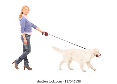 Full Length Portrait Of A Woman Walking A Retriever Dog Isolated On White Background