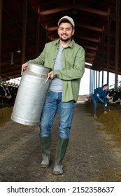 Full Length Portrait Of Young Bearded Farmer Working On Dairy Farm, Carrying Milk Churn Near Stall With Cows In Cowshed..