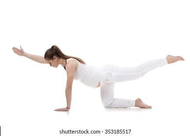 Full Length Portrait Of Young Pregnant Fitness Model In Sportswear Doing Yoga, Pilates Training, Balance Exercise Bird Dog, Kneeling Opposite Arm And Leg Extension, White Background, Studio, Isolated