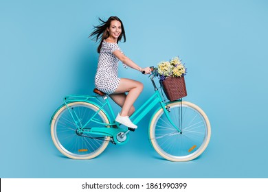 Full length profile photo of girl drive cycle flower basket wear dotted short dress footwear isolated blue color background