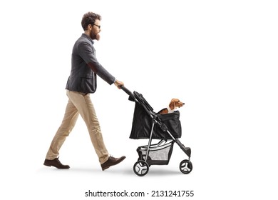 Full Length Profile Shot Of A Bearded Man Walking And Pushing A Beagle In A Dog Stroller Isolated On White Background