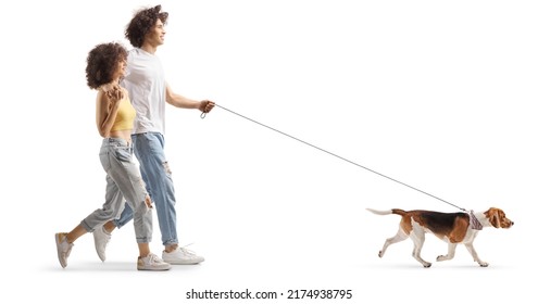 Full length profile shot of a boyfriend and girlfriend walking a beagle dog isolated on white background - Powered by Shutterstock