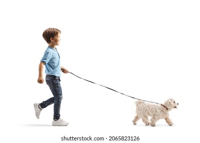 Full Length Profile Shot Of A Child Walking A Maltese Poodle Dog On A Lead Isolated On White Background