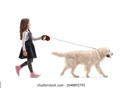 Full Length Profile Shot Of A Girl Walking A Labrador Retriever Dog Isolated On White Background