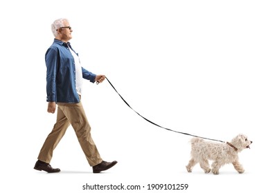 Full Length Profile Shot Of A Mature Man Walking A Maltese Poodle Dog Isolated On White Background