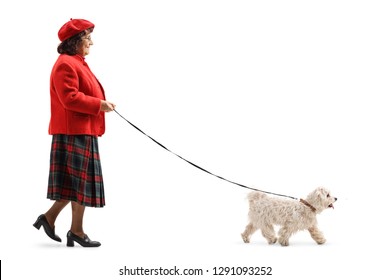 Full length profile shot of an older lady walking a little white dog isolated on white background
 - Powered by Shutterstock