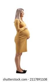 414 Pregnant woman full length profile Images, Stock Photos & Vectors ...