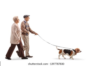 Full Length Profile Shot Of A Senior Couple Walking A Basset Hound Dog Isolated On White Background