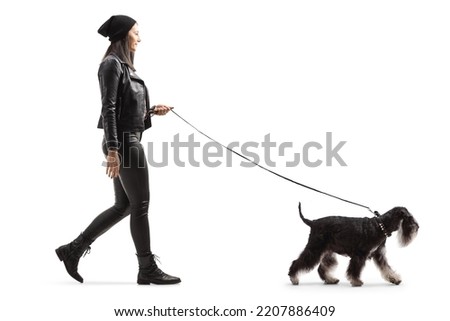 Full length profile shot of a young woman in leather jacket and pants walking a schnauzer dog isolated on white background