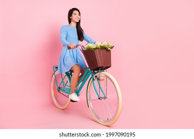 Full length profile side photo of young girl happy positive smile travel bicycle wildflowers spring isolated over pastel color background
