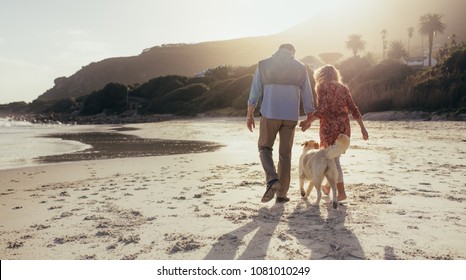 Full Length Rear View Shot Of Senior Couple Walking Along The Beach With Their Pet Dog. Mature Couple Enjoying Holidays Together At Sea Shore.