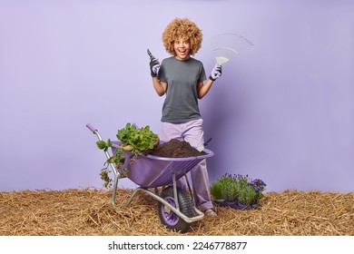 Full length shot of curly haired female gardener holds secateurs and rake uses gardening tools stands near wheelbarrow busy cultivating isolated over purple background going to plant seedlings - Powered by Shutterstock