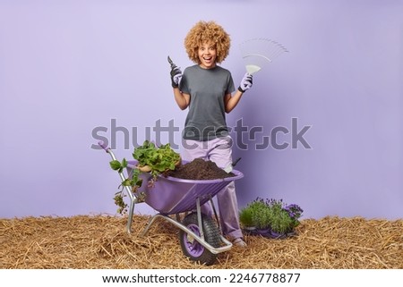 Full length shot of curly haired female gardener holds secateurs and rake uses gardening tools stands near wheelbarrow busy cultivating isolated over purple background going to plant seedlings