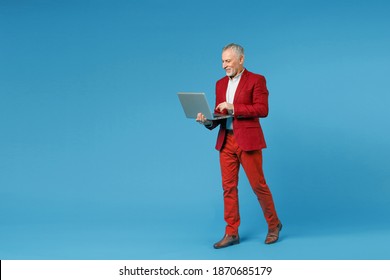 Full length side view of smiling funny elderly gray-haired mustache bearded business man wearing red jacket suit working on laptop pc computer isolated on blue color wall background studio portrait