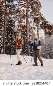 Full Length Of Sportive Senior Couple Enjoying Nordic Walk With Poles Hiking In Winter Forest