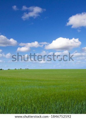 Foto Bild grüne Weite Sommer