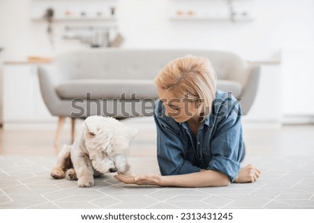 Full length view of attractive blonde in denim wear leaning on elbows while holding white dog's leg in hand. Well-behaved West Highland White Terrier giving paw to female owner on carpet of apartment.