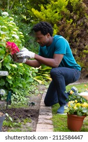 Full Length Of Young African American Man Kneeling While Gardening In Backyard. People, Nature And Hobbies Concept, Unaltered.