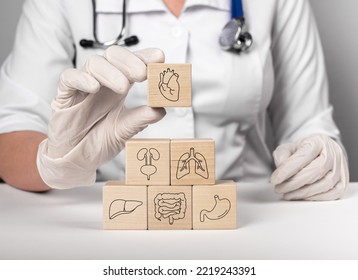 Full medical checkup concept. Healthcare, checking inner organs like heart, liver, intestine, stomach, kidneys and lungs. High quality photo - Shutterstock ID 2219243391