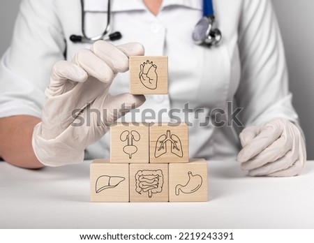 Full medical checkup concept. Healthcare, checking inner organs like heart, liver, intestine, stomach, kidneys and lungs. High quality photo