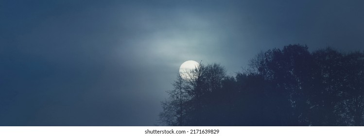 Full moon above the forest. Dark tree silhouettes. Mysterious fog and clouds. Creepy landscape. Concept image, fantasy, witchcraft, gothic, nightmare, mythology, silence