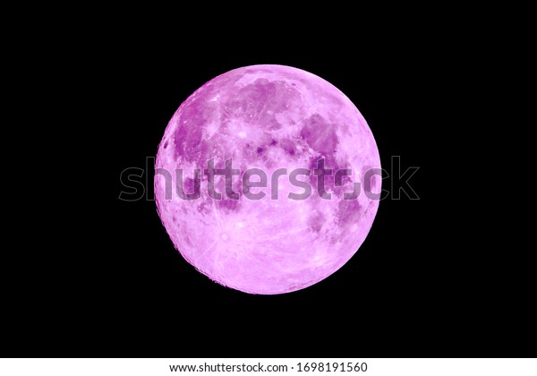 The full moon\
of April, called the Pink Moon\
