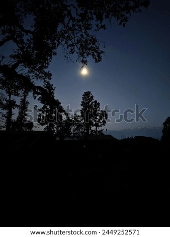As the full moon ascends, casting a silvery spell over the forest, shadows dance and secrets seem to stir beneath the ancient boughs.