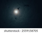 Full moon astral sky with milky clouds. Moon on Cloudy night. Dramatic clouds in mystic moonlight. Full moon illuminating a dark, cloudy night sky