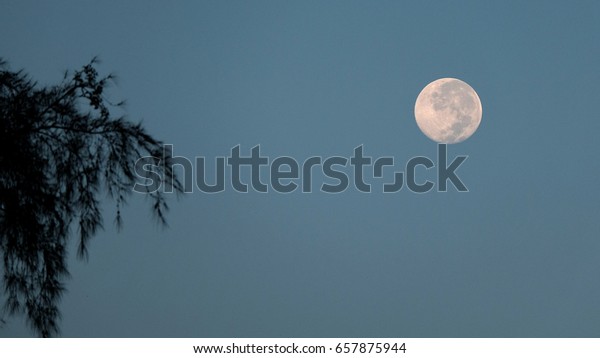 Full Moon background / The Moon is an astronomical\
body that orbits planet Earth, being Earth\'s only permanent natural\
satellite. It is the fifth-largest natural satellite in the Solar\
System