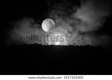 Full Moon Background / A full moon is the lunar phase that occurs when the Moon is completely illuminated as seen from Earth