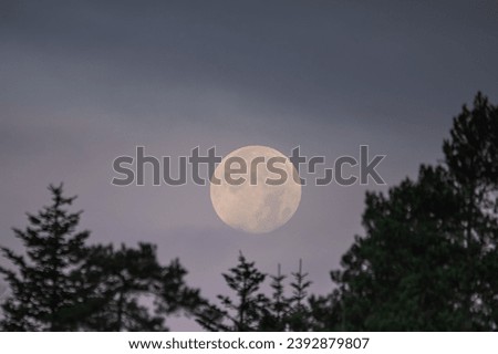 Full Moon behind forest through telephoto lens