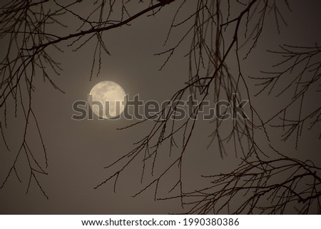 Similar – Image, Stock Photo Moon behind veil clouds