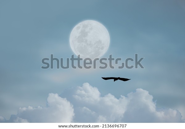 Full moon with bird\
and clouds in the sky.