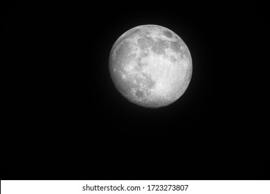 Full Moon In Black Night Sky, Only Natural Satellite Of The Earth. Visible Craters And Surface Of The Planet.