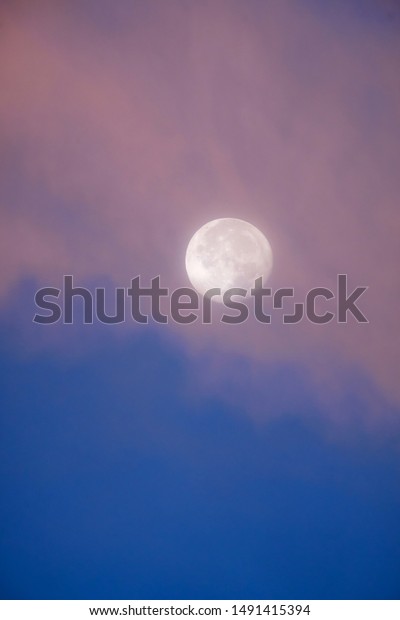 Full moon with blue sky and pink clouds early in\
the morning, in sunrise\
light