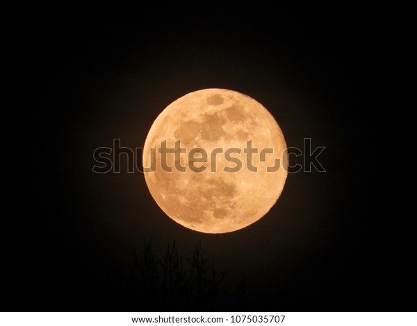 Full moon closeup
photo