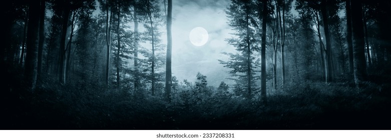 full moon in dark woods at night, fantasy forest panorama - Shutterstock ID 2337208331