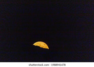 Moon Behind Tree Hd Stock Images Shutterstock