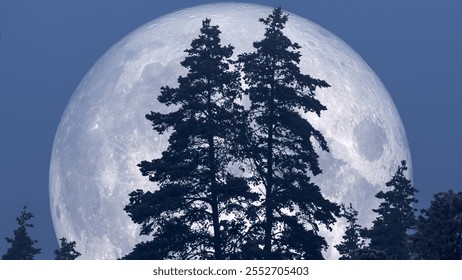 Full moon, evergreen tree silhouettes, twilight sky, bluish-gray gradient, moonlit winter night, frosty landscape, celestial winter view - Powered by Shutterstock