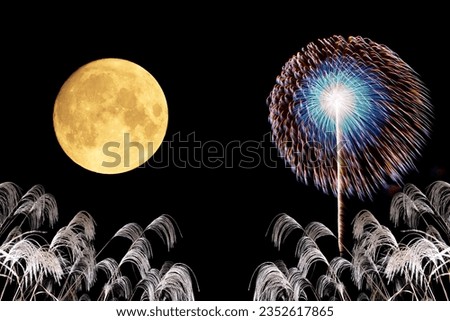Full moon, fireworks and pampas grass in the dark background of the night.