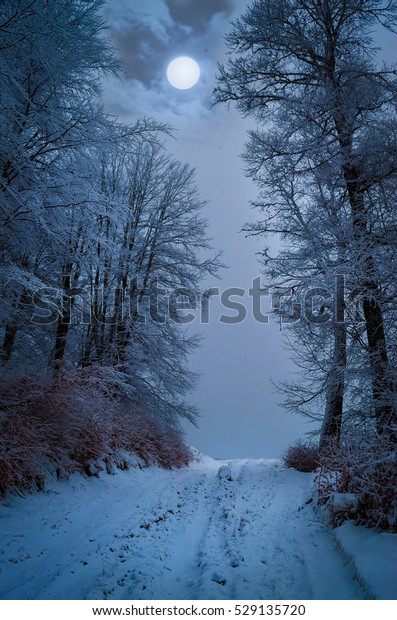 Full Moon Foggy Winter Forest Stock Photo (Edit Now) 529135720