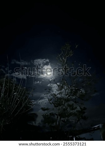 Similar – Image, Stock Photo The full moon has risen.